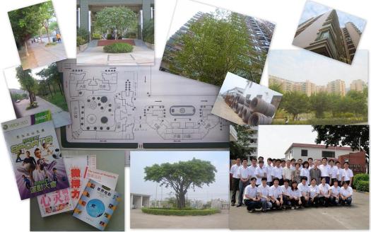 去冬今春深圳琐记2a