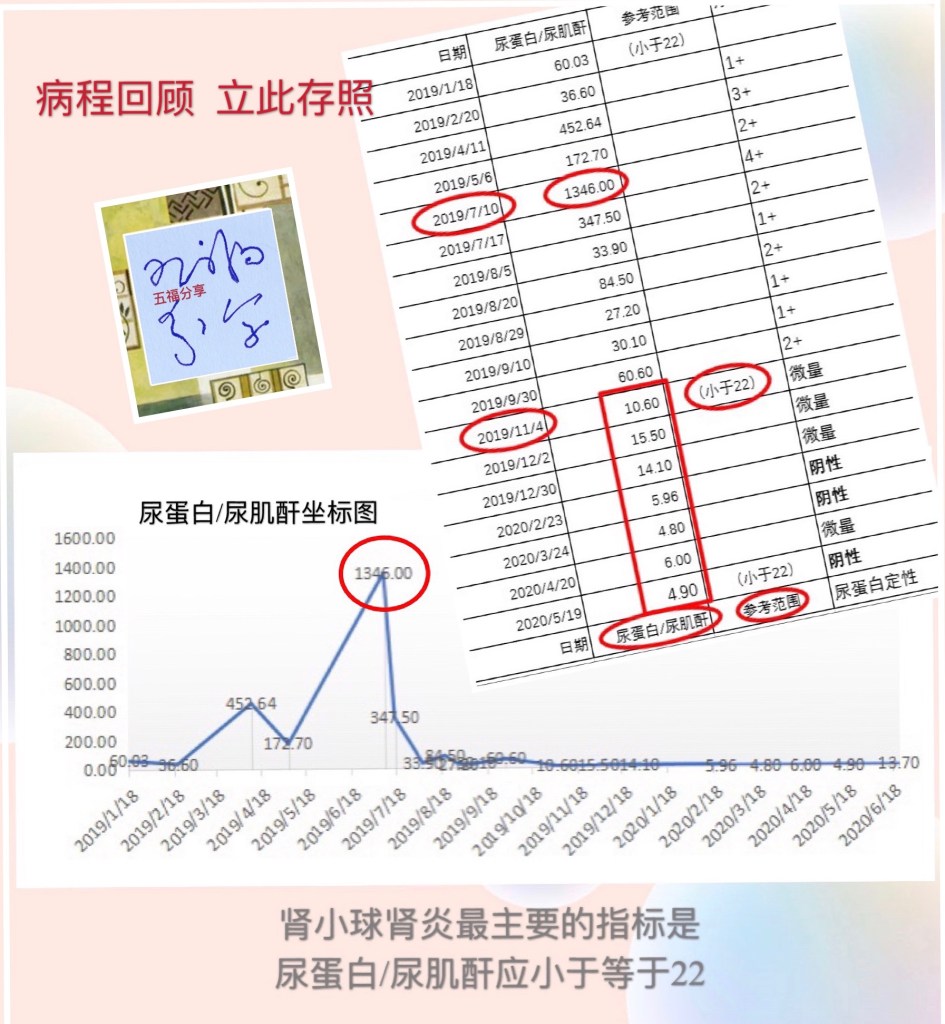 美丽的曲线