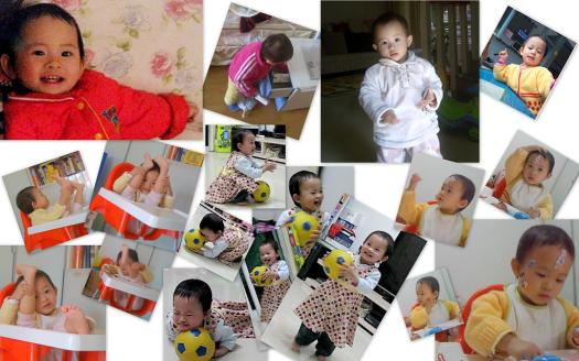 去冬今春深圳琐记1a